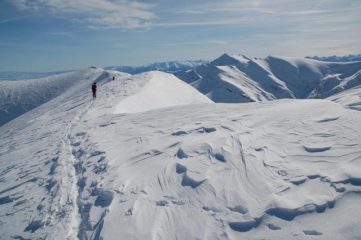 Plateau terminale