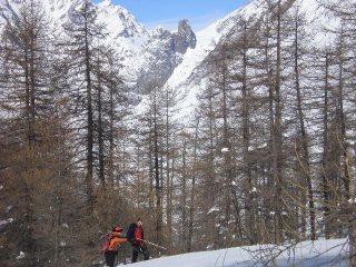 Nel bosco con Chiappera e la Provenzale sullo sfondo