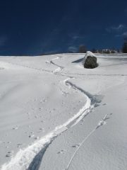 sotto i 1700 m, crostina da sciare con viiulenza