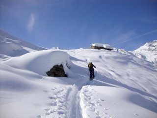 Salendo all'alpe La Piana