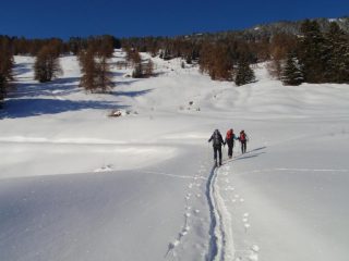 l'inizio