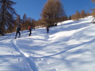 nel bosco