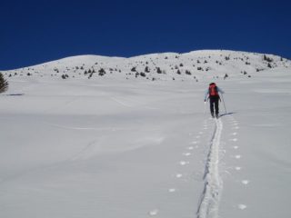 la cima