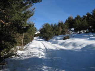 Il primo tratto di strada che sale al Colle del Colombardo