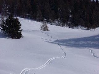 Si trovano ancora tanti spazi vergini