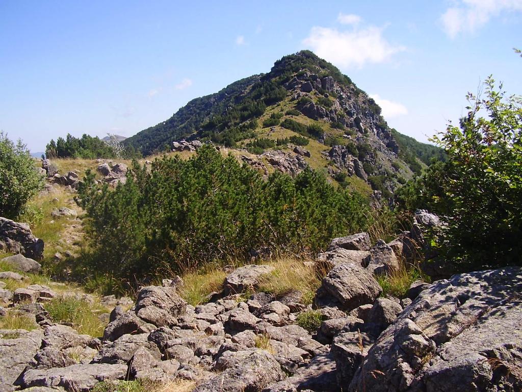 Il crinale che sale da Prato della Madonna, dietro il monte Bue