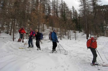 I ROLLIERIANI