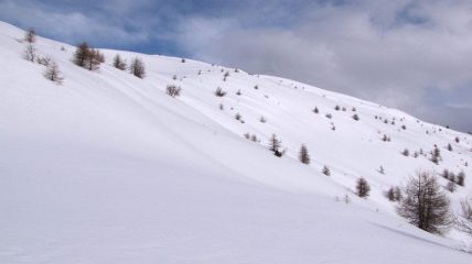 pendii sopra il bosco