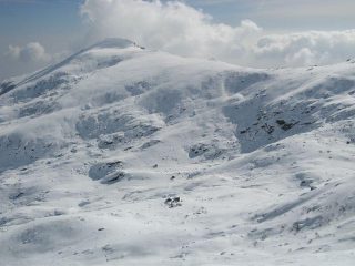 Monte Lion