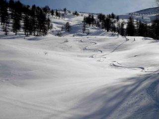 Pendio intermedio prima del bosco