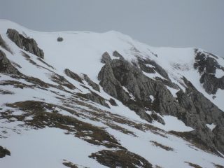 oggi