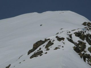 Cimone di Straolgio