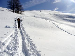 in vista della punta