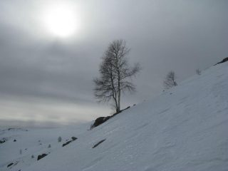 Il sole fà capolino fra le nebbie