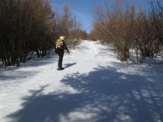 Lungo il percorso, autoscatto
