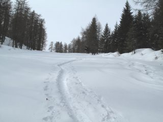 Il tratto terminale