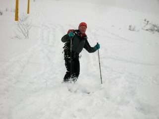 in discesa tra i pali