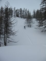 parte alta del bosco
