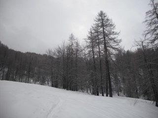 migliorerà!