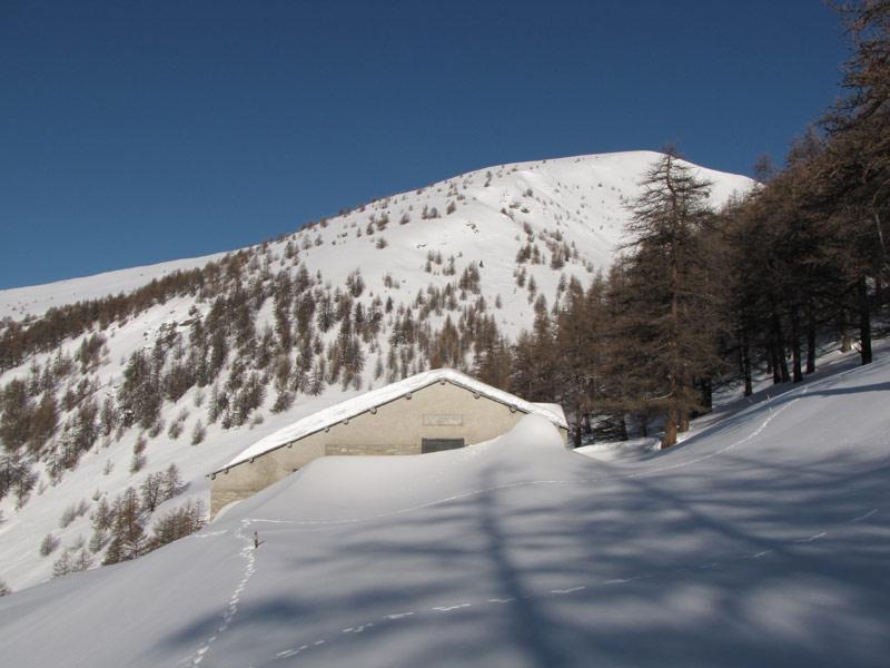 l'alpe giarasson e sullo sfondo il dorsalone di salita