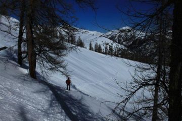 Il taglio che non ci ha ispirato