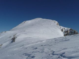 pala finale