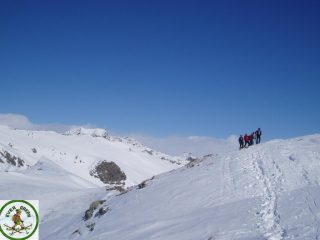 in vetta
