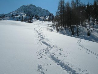 sotto al Crest