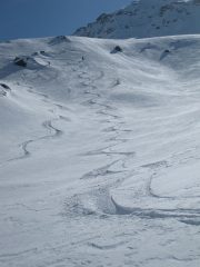 sotto rognosa