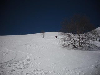 sul morbido