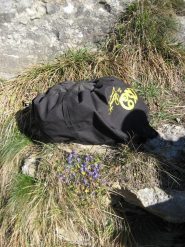 viole ai piedi della falesia