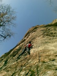 max sul muretto di pungitopo