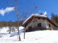 Alpe Stuba
