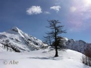 Pizzo Ruggia dall'Alpe I Motti