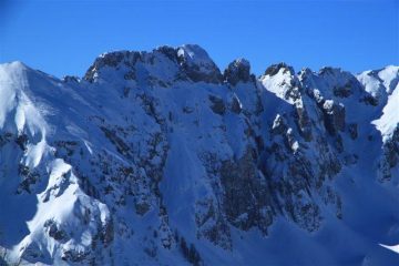 Le crestine di Pera Bruna