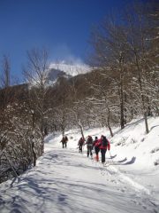 Salendo nel bosco con la vetta sullo sfondo