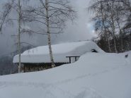 Oltre 1 mt. di neve, il mio povero Flick è quasi coperto dalla neve