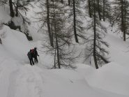 Discesa nel bosco