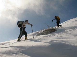 Uscita dal bosco