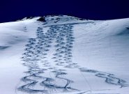 Due Firme gia presenti + le ns tre!! Ke spettacolo!