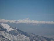 Sembra curiosare da molto vicino...