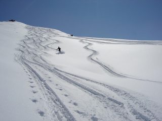 Farina 1