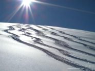 i plateau sopra il bosco
