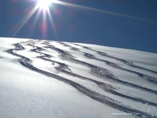 i plateau sopra il bosco