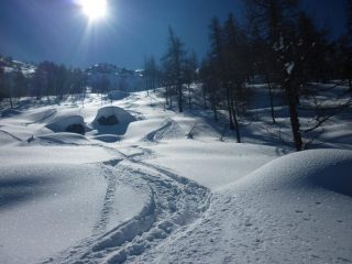 Pendii di oggi!! Canada!!!