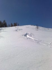 farina.....