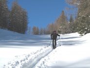 Pendii alti