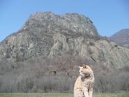 La rocca del gatto