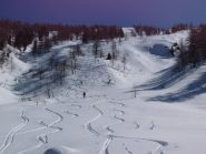 Discesa nel Vallone dell'Orsiera