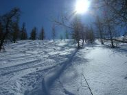 Nel bosco vicino al canale
